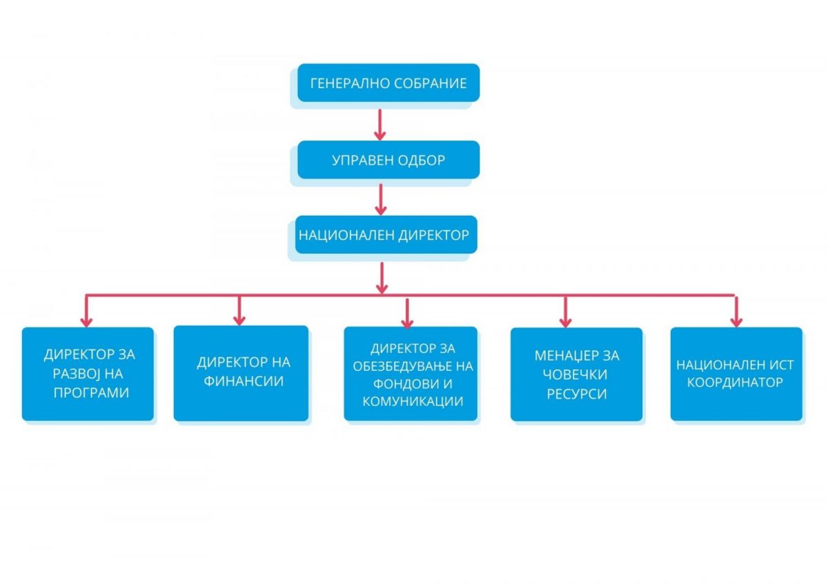 struktura na organizacijata (sos detsko selo)